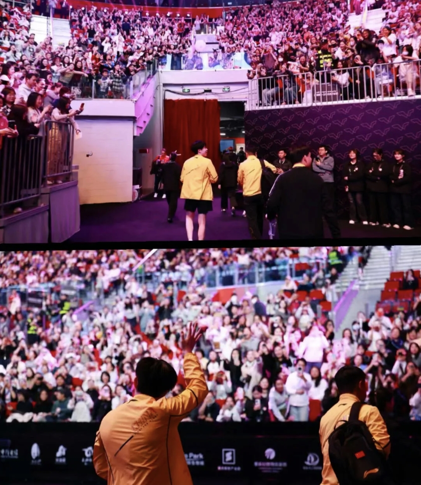 拳击传奇谢幕，球迷泪洒赛场的简单介绍