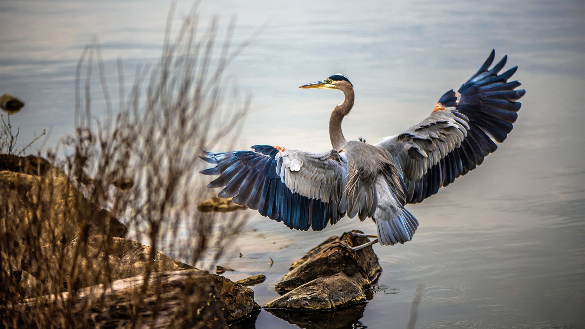 跨界凯旋，从巴西速胜瑞典到拉什福德的西决致敬对决