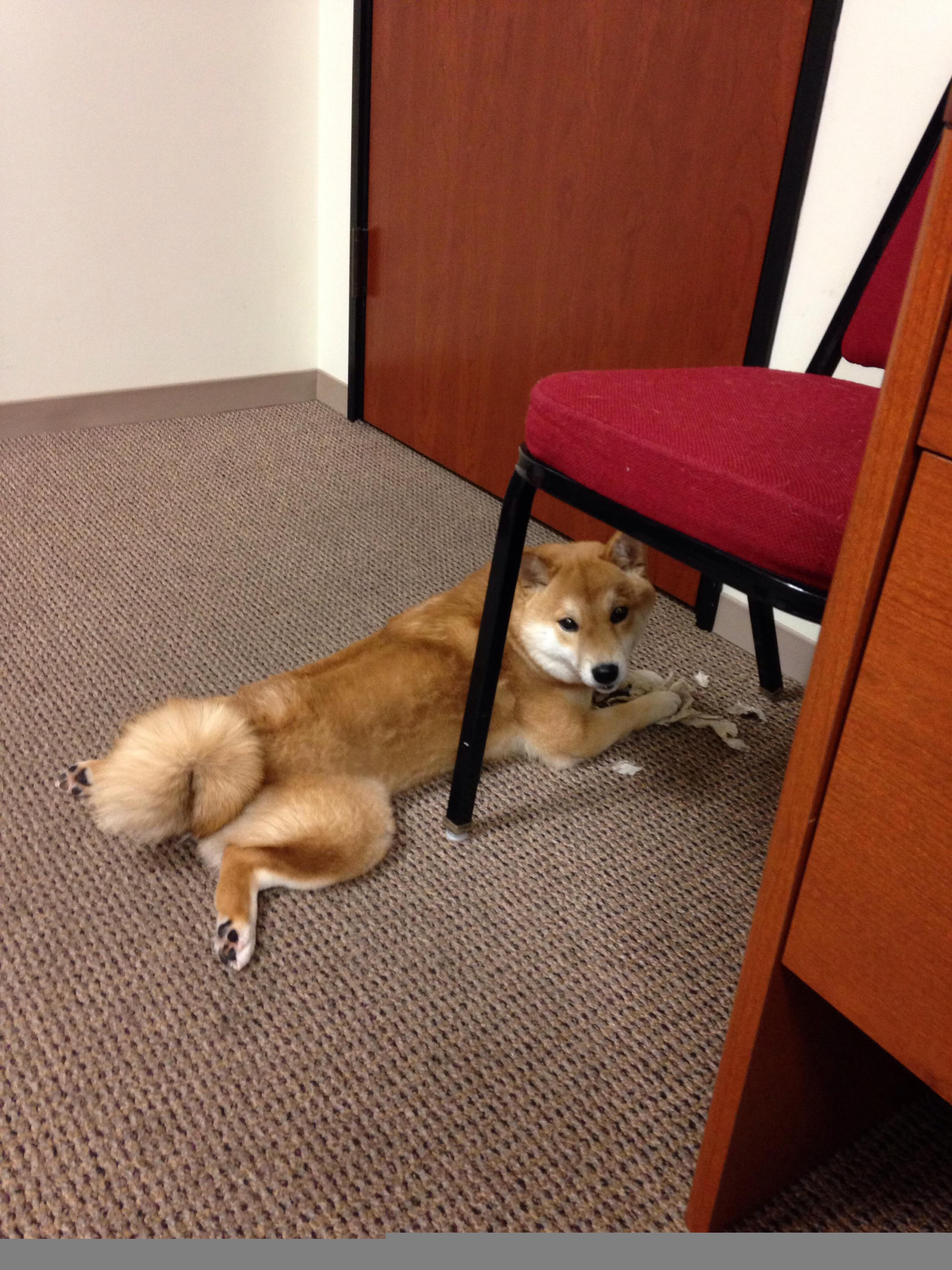 孤注一掷的远射，葡萄牙终结马赛的封神时刻，李刚仁的永恒瞬间