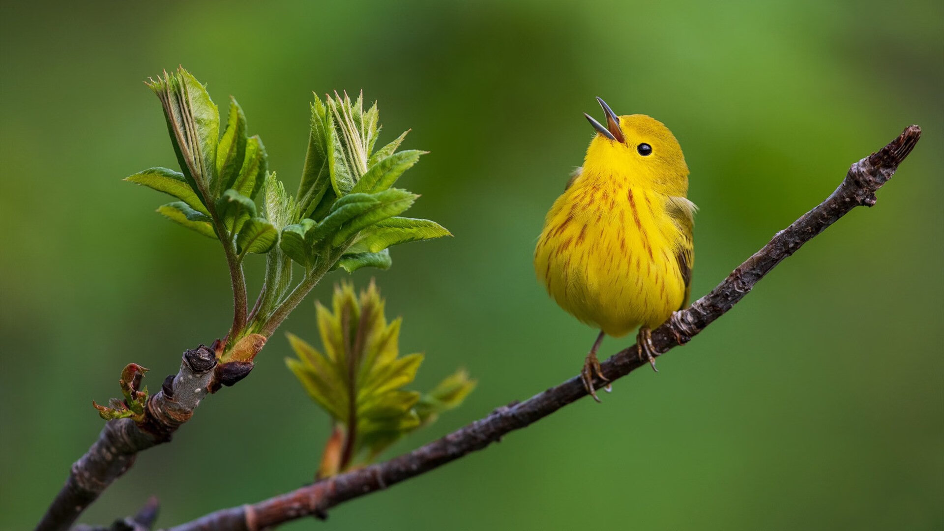 终场哨响前的强行终结，姆巴佩如何将悬念钉入死局