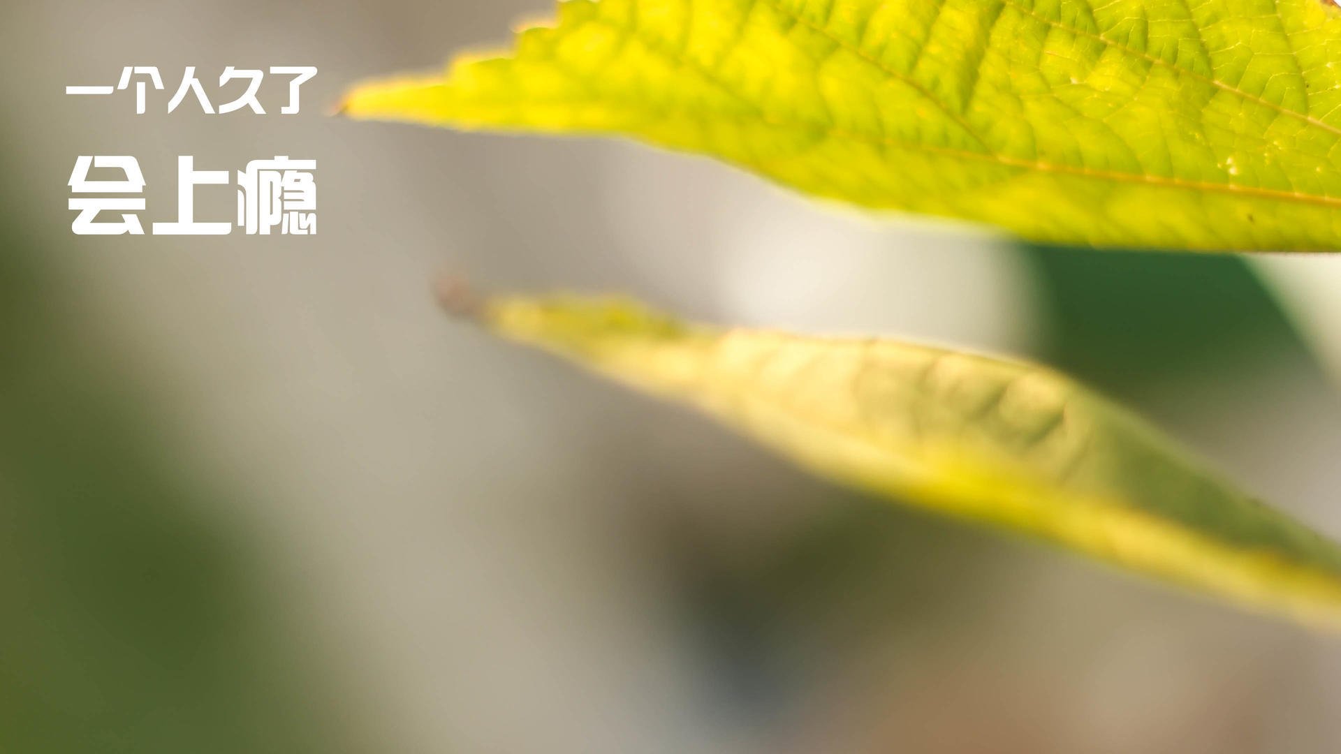 萨卡利刃破最硬铁壁,雷恩坚韧奏响红牛挽歌