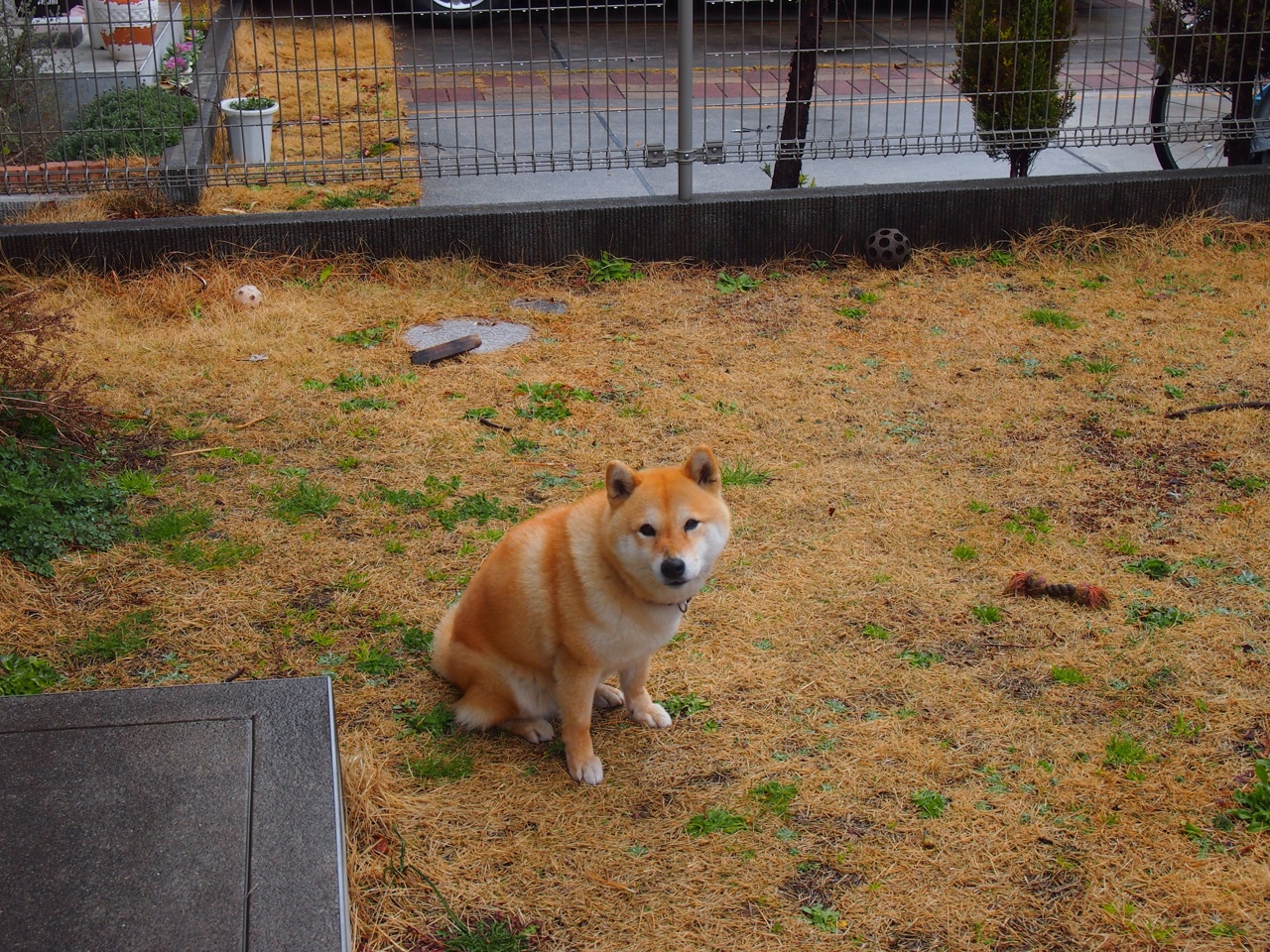 跨界表演赛字母哥空降助阵，湖人轻取深圳展现篮球无界