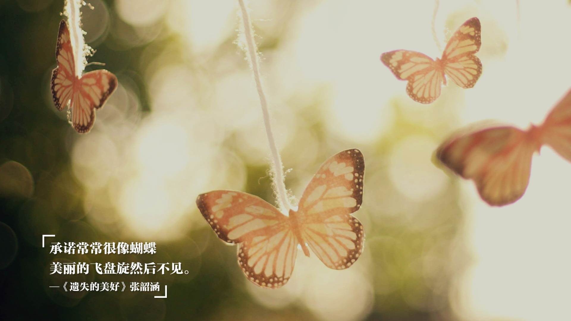 晴雨之战，巴尔韦德如何让南美阳光刺穿爱尔兰的雨幕