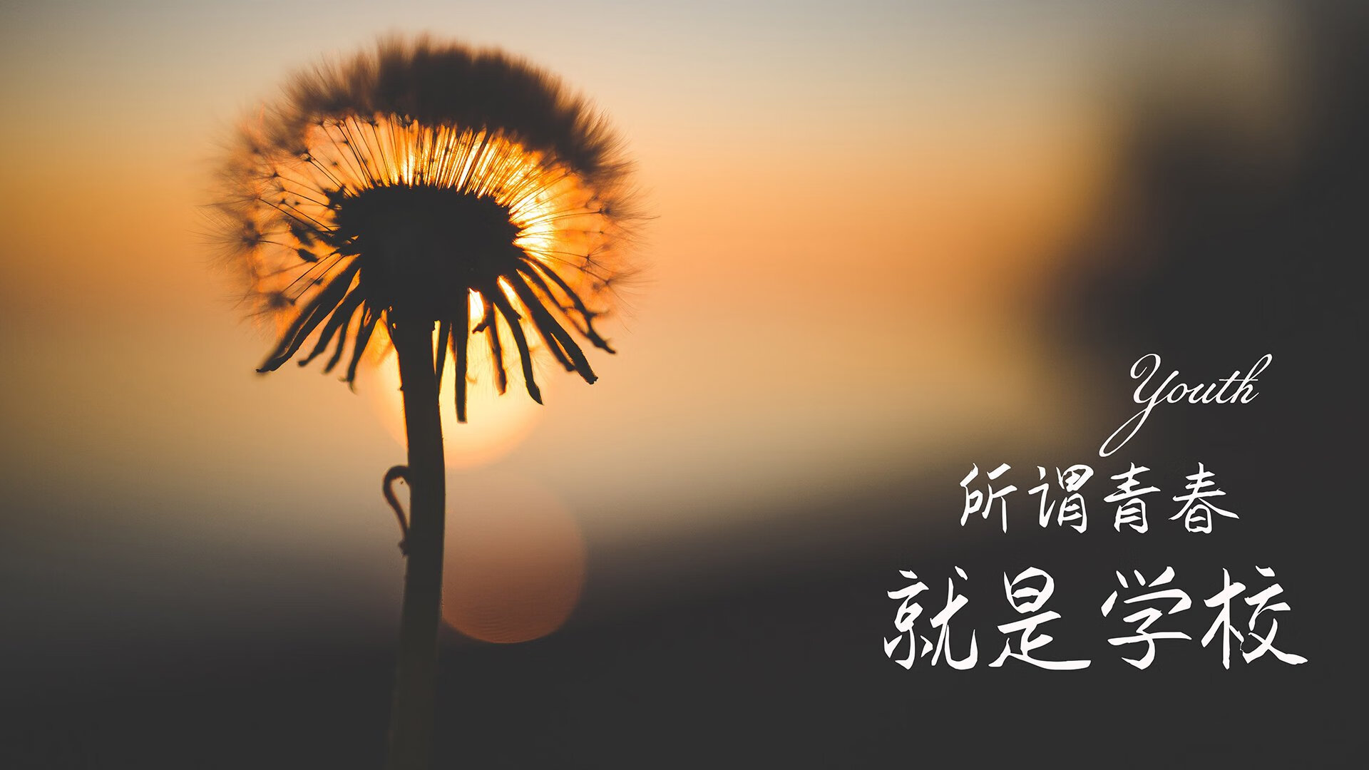 暗夜独行,2026世界杯D组,姆巴佩的星光与韩国之魂的绝唱