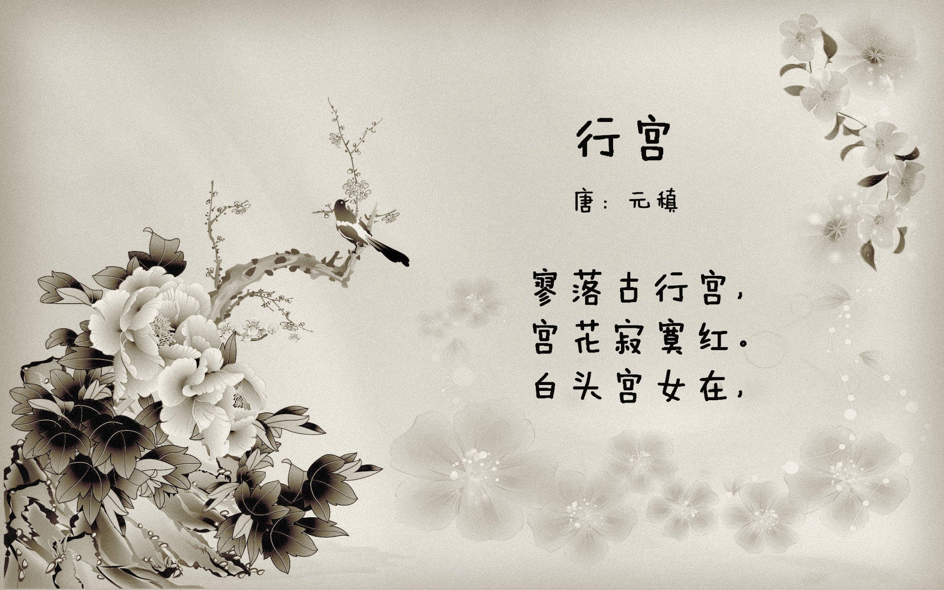 当上帝穿上袋鼠战袍,2026世界杯D组那场唯一性的颠覆之夜