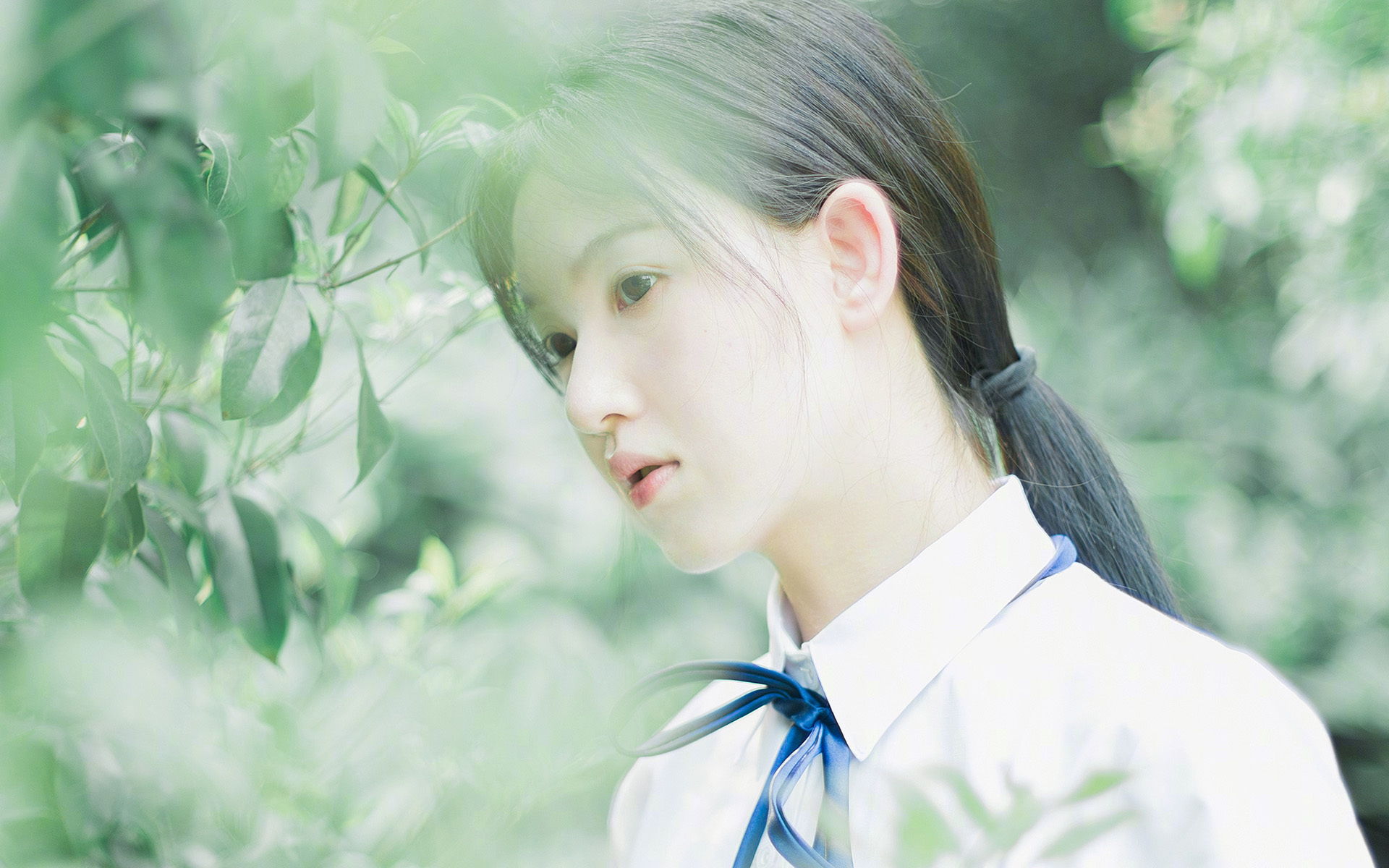 半岛的黄昏与破晓,2026,当孙兴慜的弧线撕裂宿命