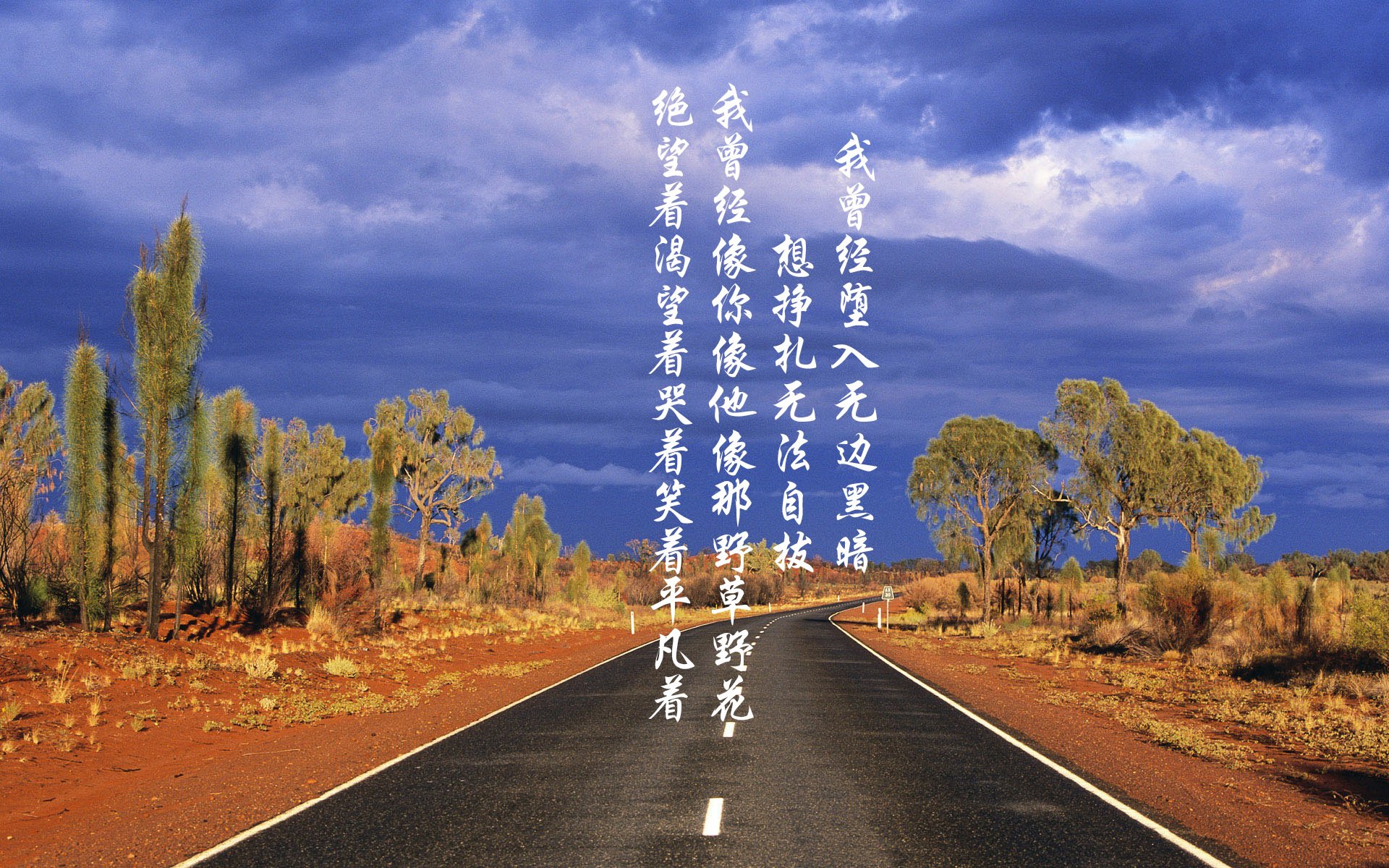 蓝衣军团的城墙与非洲雄鹰的利刃,2026世界杯H组上演史诗级强强对话,意大利用钢铁防线压制比利时,奥斯梅恩闪耀全场封神